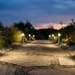 A flagstone garden path illuminated by modern stainless steel bollard lights at dusk with succulents
